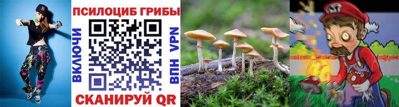 Купить  Пошехонье  Псилоцибиновые грибы прущие грибы 