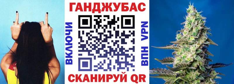 Купить где  Пошехонье  Шишки марихуана план 